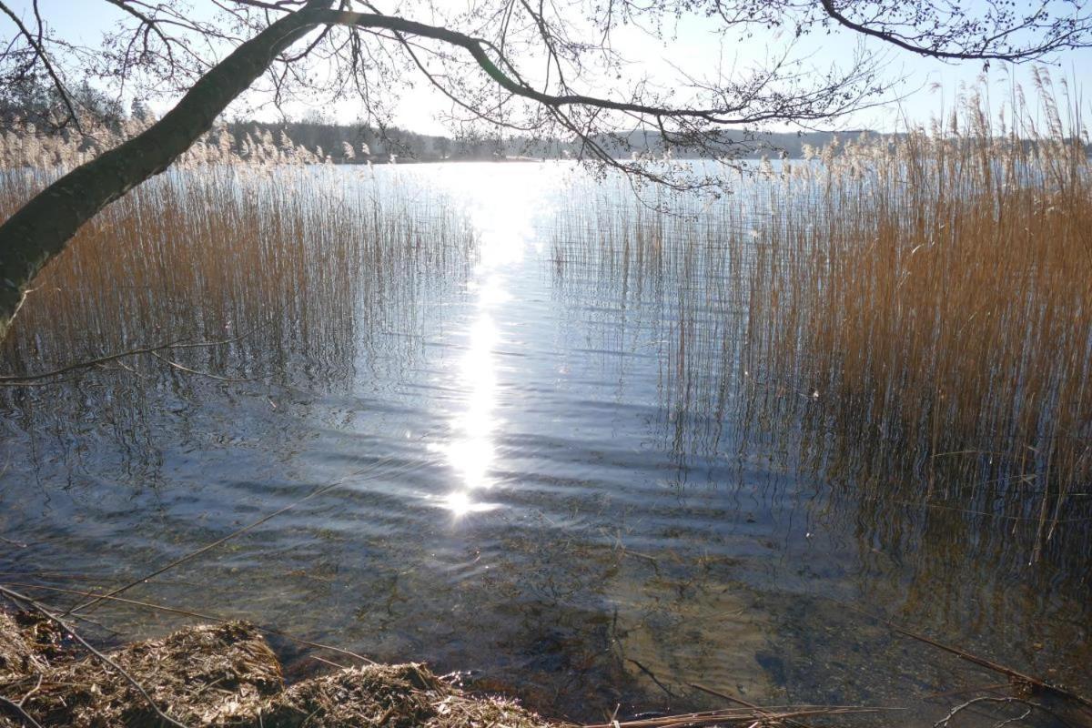 Landhaus Am See App. 2 Ponitz am See Exterior foto
